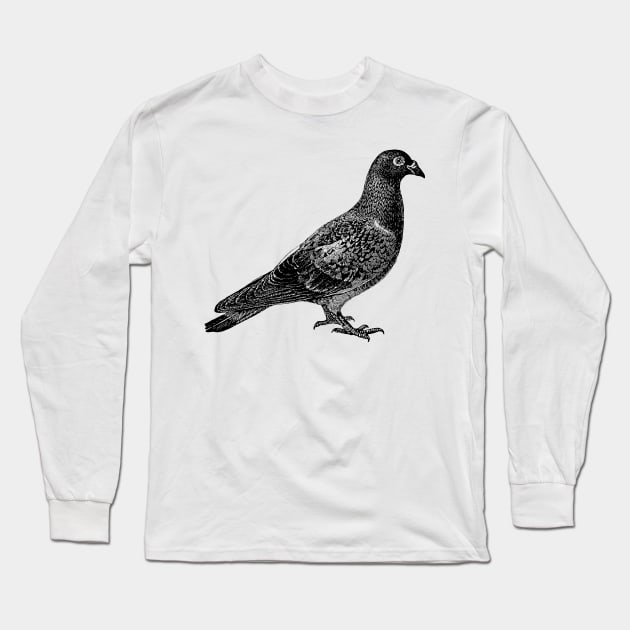 Pigeon in black Long Sleeve T-Shirt by winterwinter